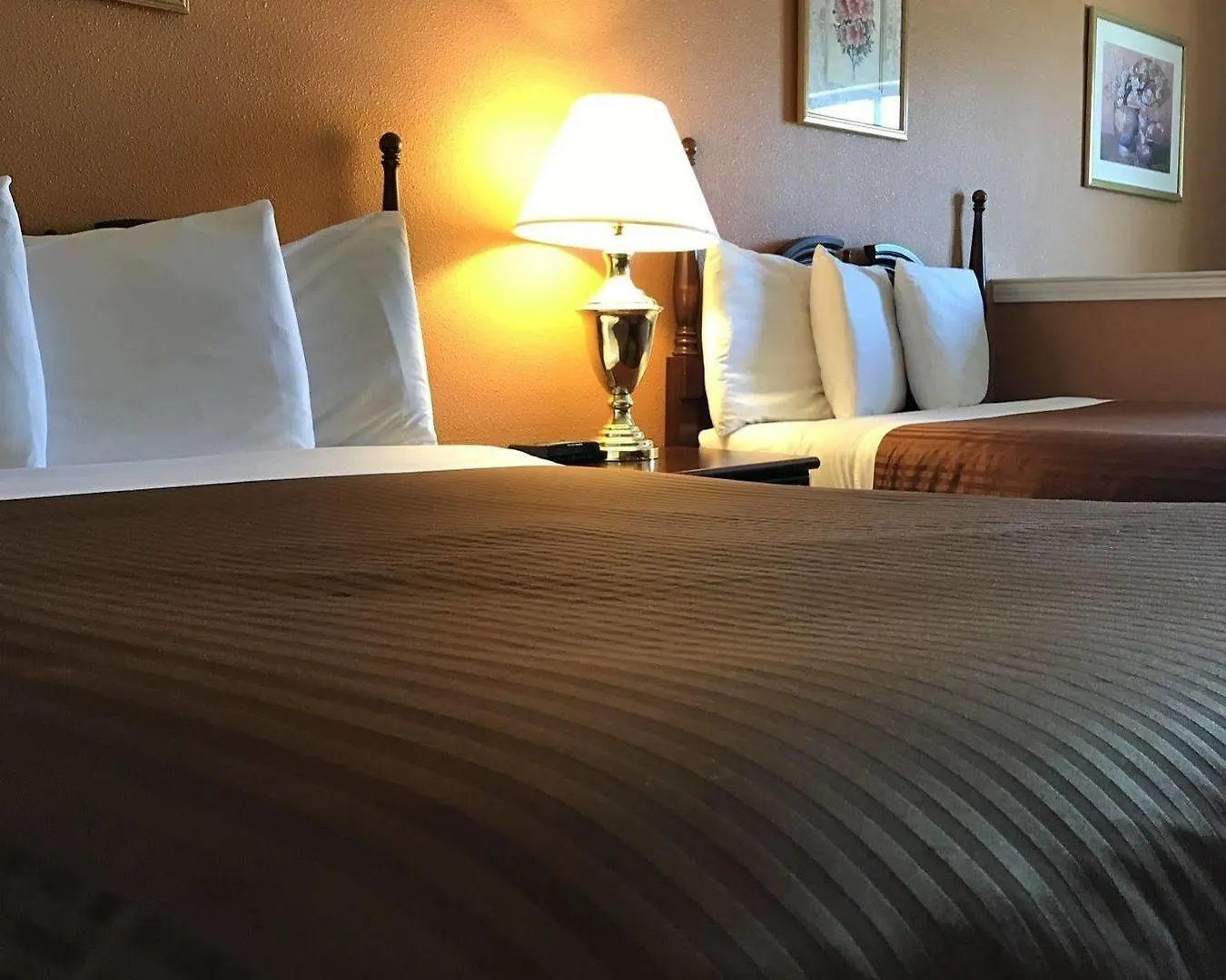 Luxury Suites Ferry Pass