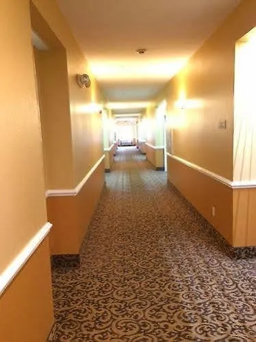 Hotel Luxury Suites Ferry Pass